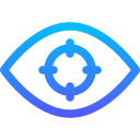 Vision 