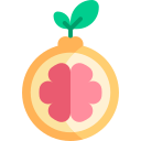 pomelo icon