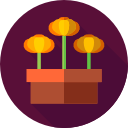 flores icon