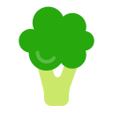 brócoli icon