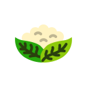 coliflor icon