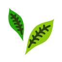 albahaca icon