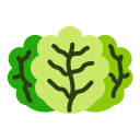 lechuga icon