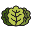 lechuga icon