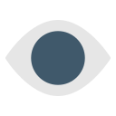 ojo icon