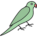 loro icon