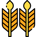 trigo icon