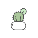 cactus icon