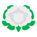 coliflor icon