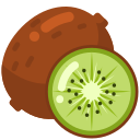 kiwi icon