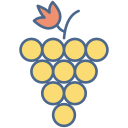 uvas icon