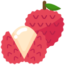 lychee icon