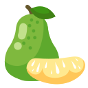 pomelo icon