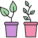 plantas icon