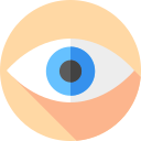 Eye 