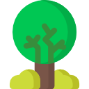 Árbol icon