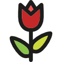 tulipán icon