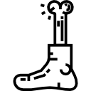 피트 
