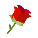 rosa icon