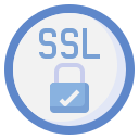 ssl icon