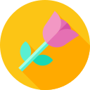 rosa icon