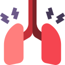 pulmones