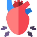 corazón icon