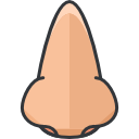 Nose 
