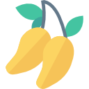 Mango icon