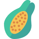 Papaya icon