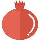 Pomegranate icon