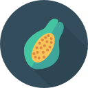 papaya icon