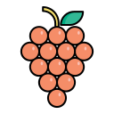 pomelo icon