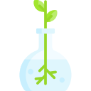 Flask 