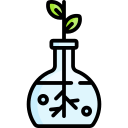 Flask 