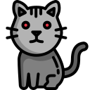 gato icon