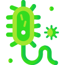 bacterias icon