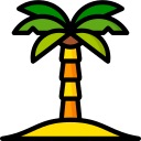 palmera icon