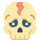cráneo 