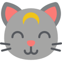 gato icon