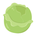 lechuga icon