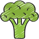 brócolis 