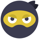 ninja icon