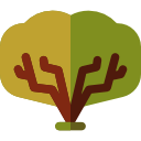 Árbol icon