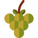 uvas icon