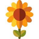 girasol icon