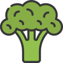 brócoli icon