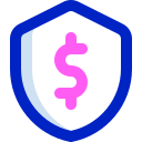 seguridad icon