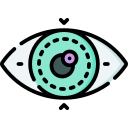 ojos icon