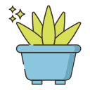 aloe vera icon